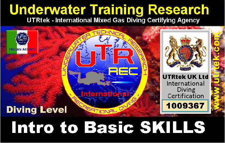 Intro To Basic Skills Diver